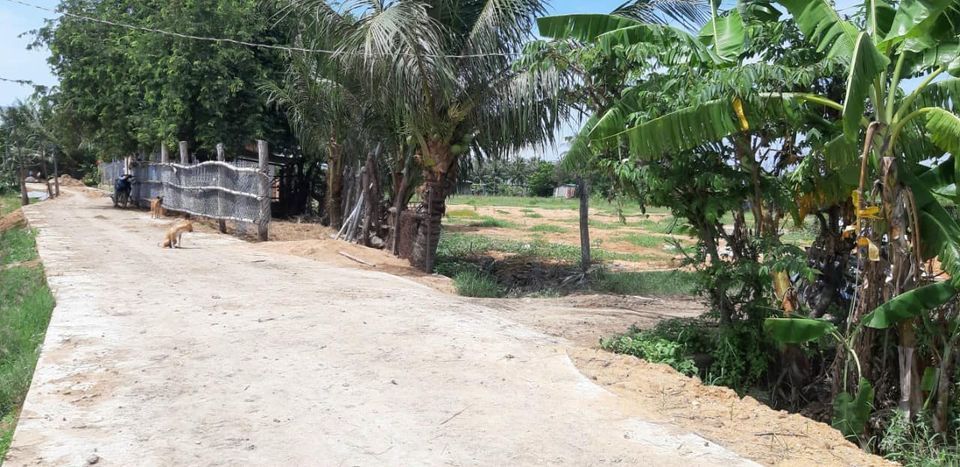 Bán Đất Nông Nghiệp Phường Văn Hải Giá Rẻ, Đất Nền Cao Ráo, Xung Quanh Đã Có Nhà Xây Rồi