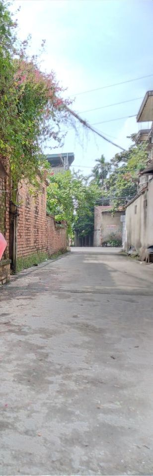 Bán đất 2 mặt tiền, 2 ô liền kề tặng nhà cấp 4,băng 2 đường nguyệt cư, ngõ 359, tổ 6, khu Hòa Phong