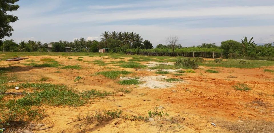 Bán Đất Nông Nghiệp Phường Văn Hải Giá Rẻ, Đất Nền Cao Ráo, Xung Quanh Đã Có Nhà Xây Rồi