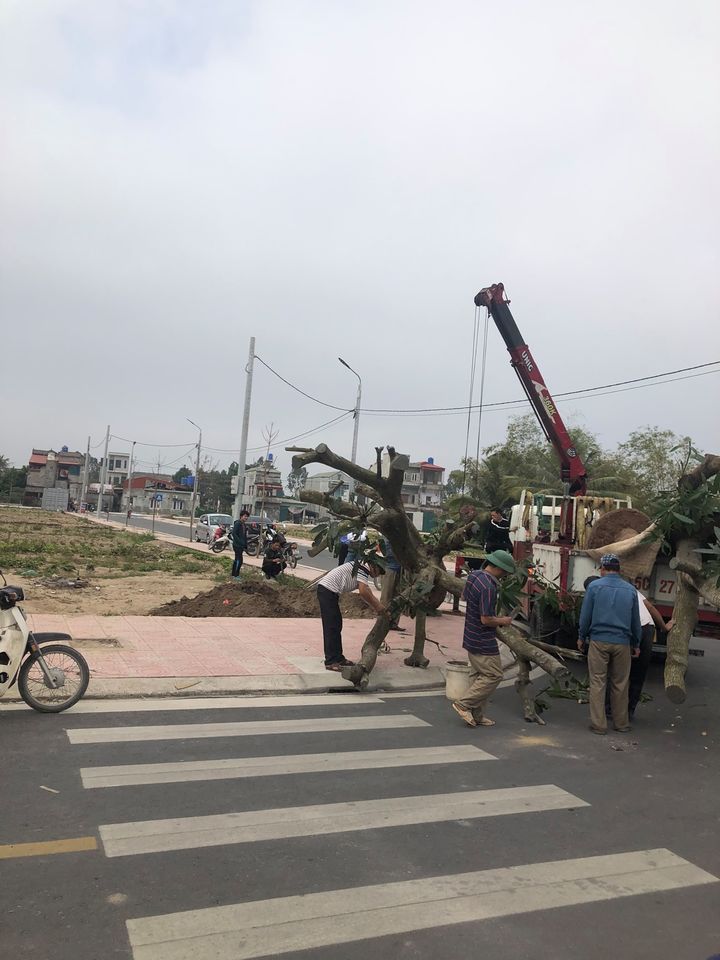 Mở Bán 102 Lô Đất Quy Hoạch Đấu Giá Thị Trấn An Bài