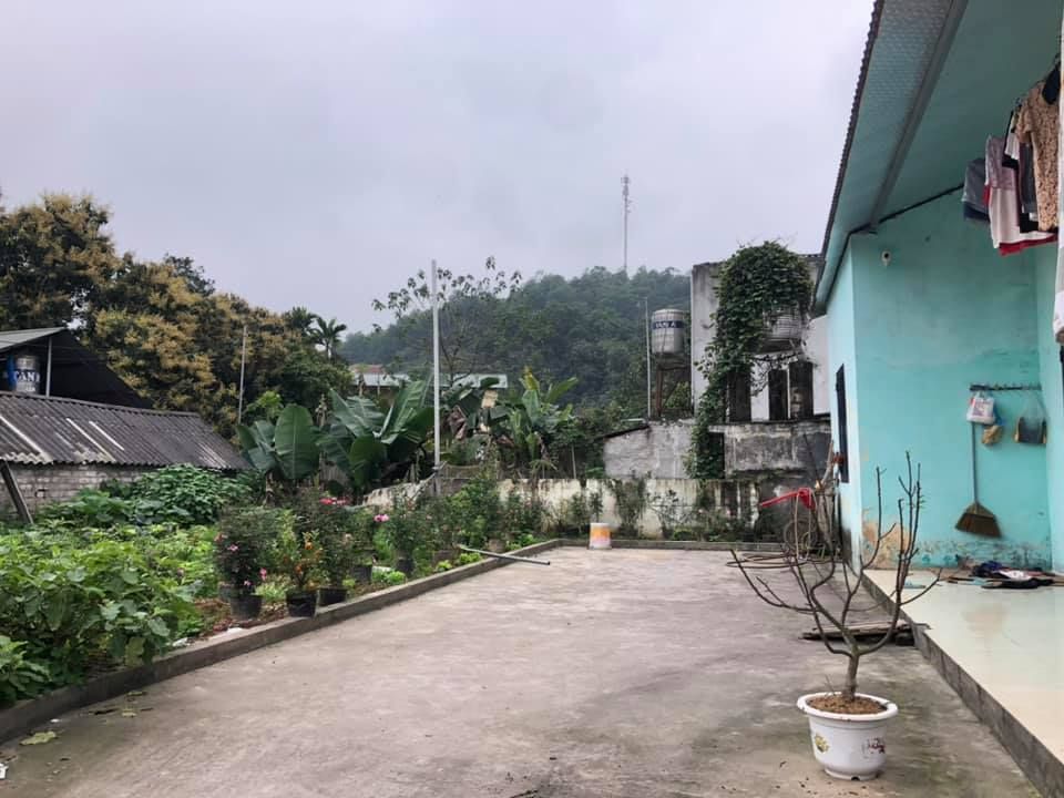 Bán nhà cấp 4 rộng 270m2 toàn bộ đất ở có vườn rộng cam đoan nhà đất chính chủ Ngõ rộng ô tô vào