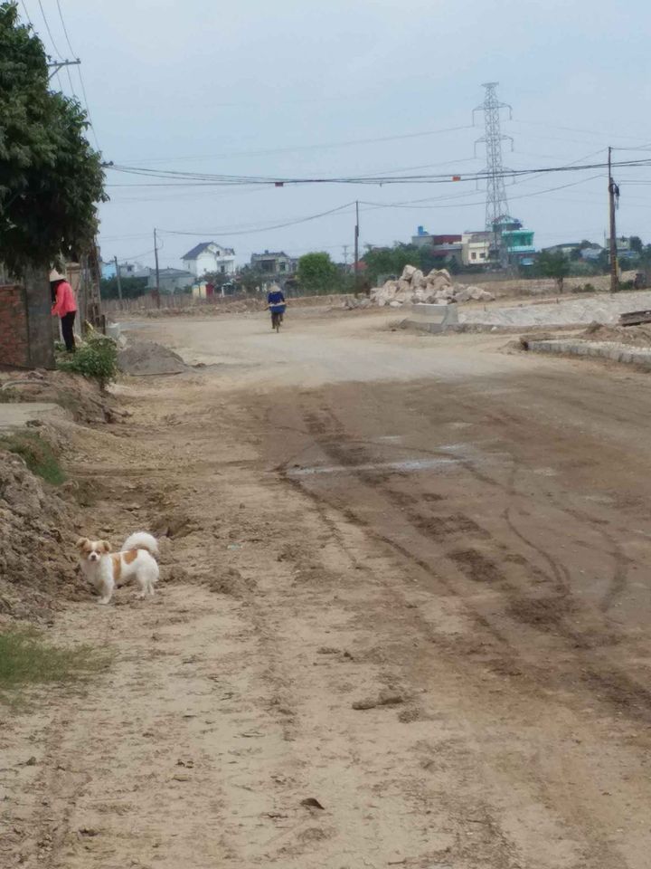 Bán đất An Quý Quỳnh Phụ 85,5m2 Lô đất nằm ngay trên mặt đường DH 73, giao thông đi lại thuận tiện