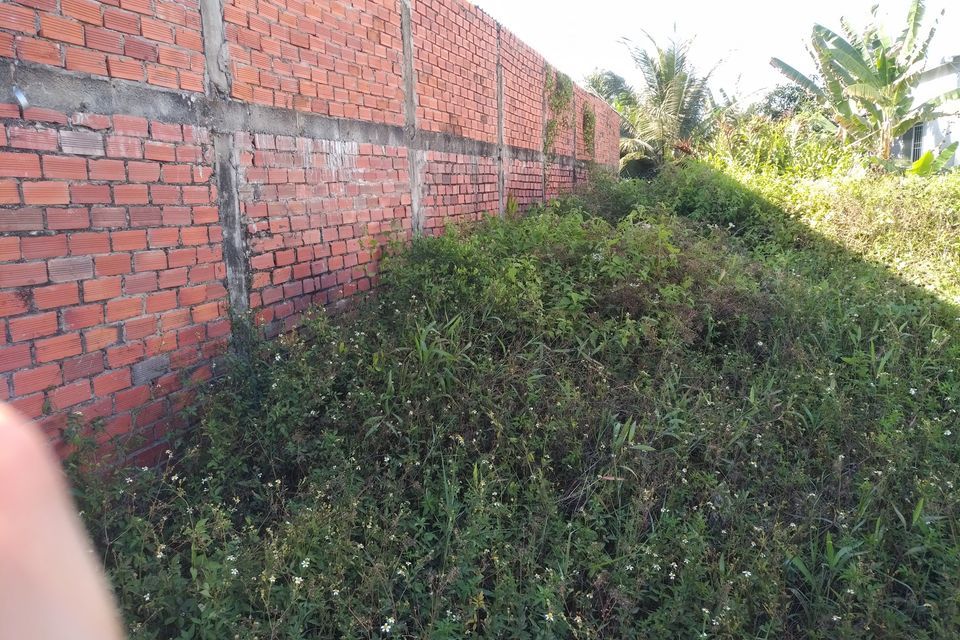 Đất nền siêu đẹp đầu tư sinh lời, xây nhà kiểu thái kết hợp sân vườn. Khóm 8, Phường 7, TPTV