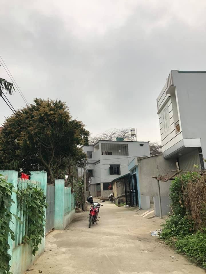 Bán nhà cấp 4 rộng 270m2 toàn bộ đất ở có vườn rộng cam đoan nhà đất chính chủ Ngõ rộng ô tô vào