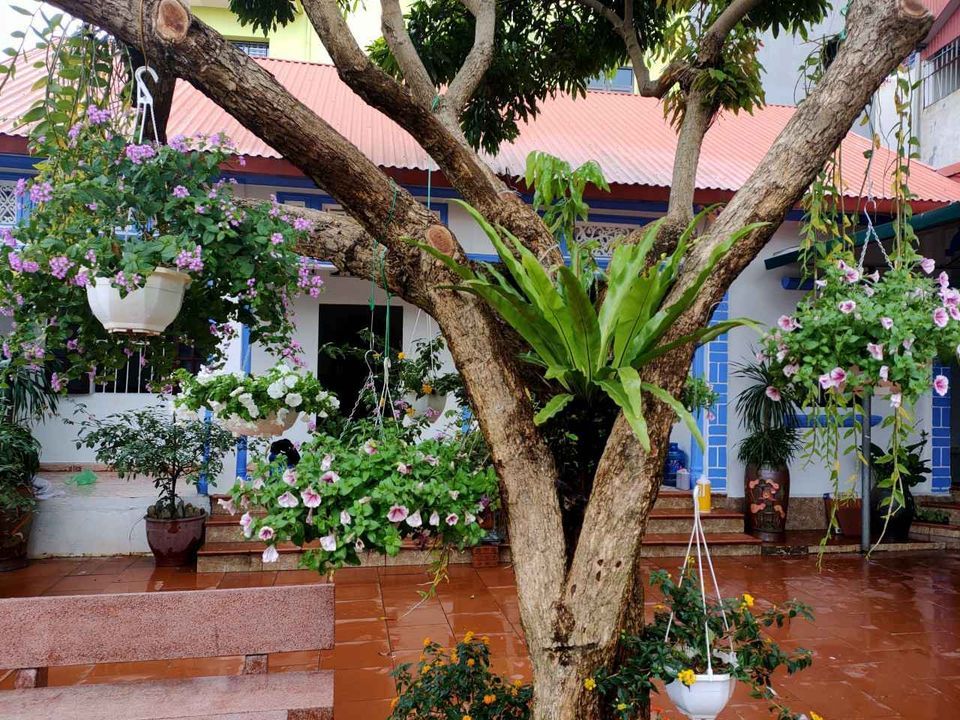 Bán đất tặng nhà cấp 4 mới, khuôn viên thoáng, đẹp. Vĩnh Yên không có ô thứ 2. HC 14 Liên Bảo