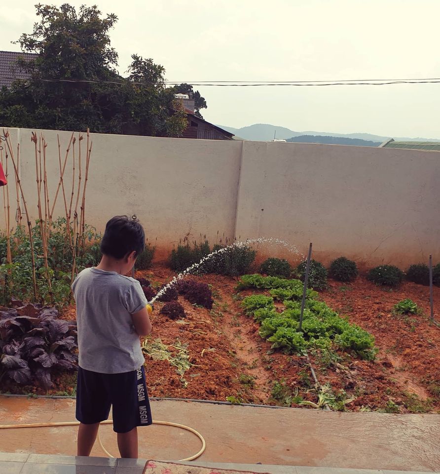 Bán Biệt thự xinh xinh,view đẹp Giá Cực Rẻ Cách Trung Tâm 3km Biệt thự đường cao thắng P7