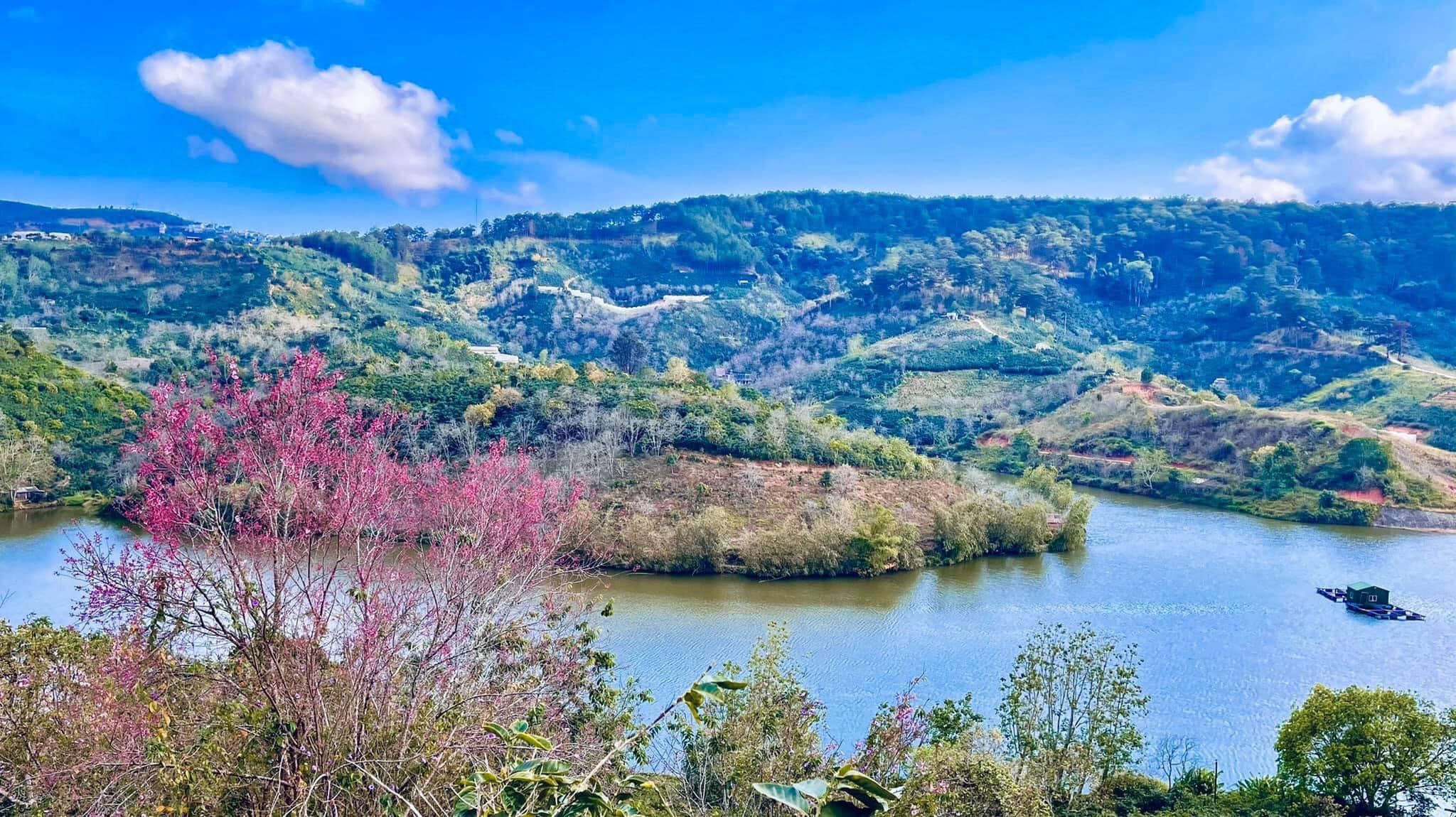 CẦN BÁN Mảnh đất xây dựng view đẹp như tranh vẽ, phù hợp xây villa, mở cafe, homestay, Đà Lạt