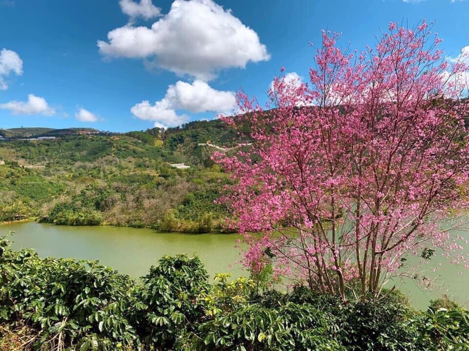 CẦN BÁN Mảnh đất xây dựng view đẹp như tranh vẽ, phù hợp xây villa, mở cafe, homestay, Đà Lạt