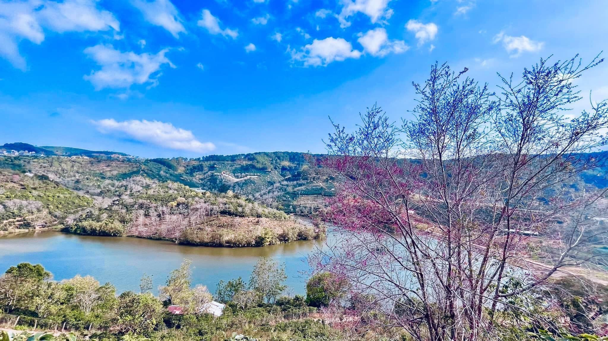 CẦN BÁN Mảnh đất xây dựng view đẹp như tranh vẽ, phù hợp xây villa, mở cafe, homestay, Đà Lạt