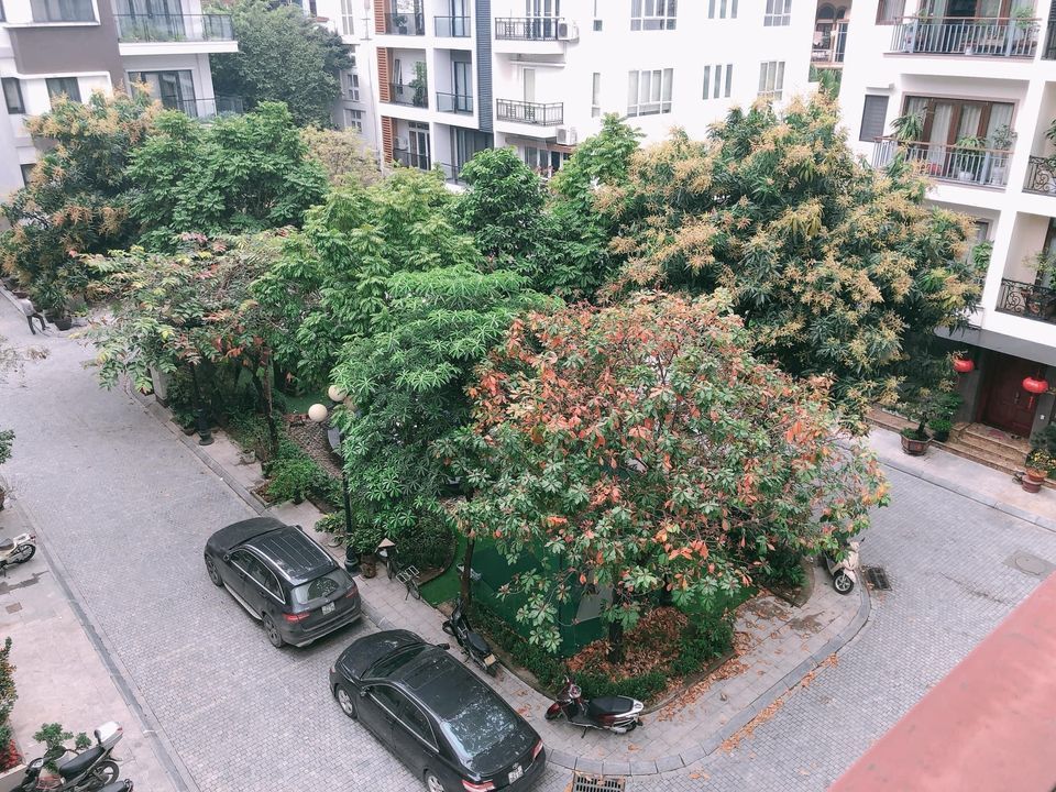 BIỆT THỰ ĐẲNG CẤP PHỐ NGUYỄN CHÍ THANH VIEW CÔNG VIÊN VỈA HÈ CHIM BAY, Ô TÔ TRÁNH, THANG MÁY