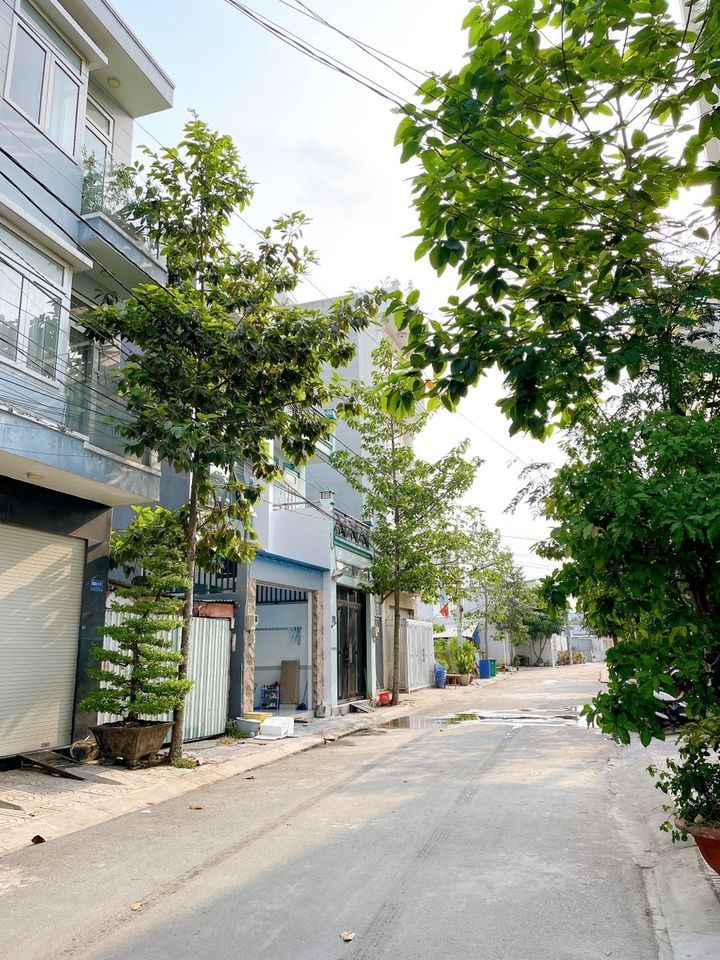 Bán đất khu dân cư hiện hữu VIP 980 Nguyễn Duy Trinh Phú Hữu, Quận 9 Cơ hội đầu tư tốt