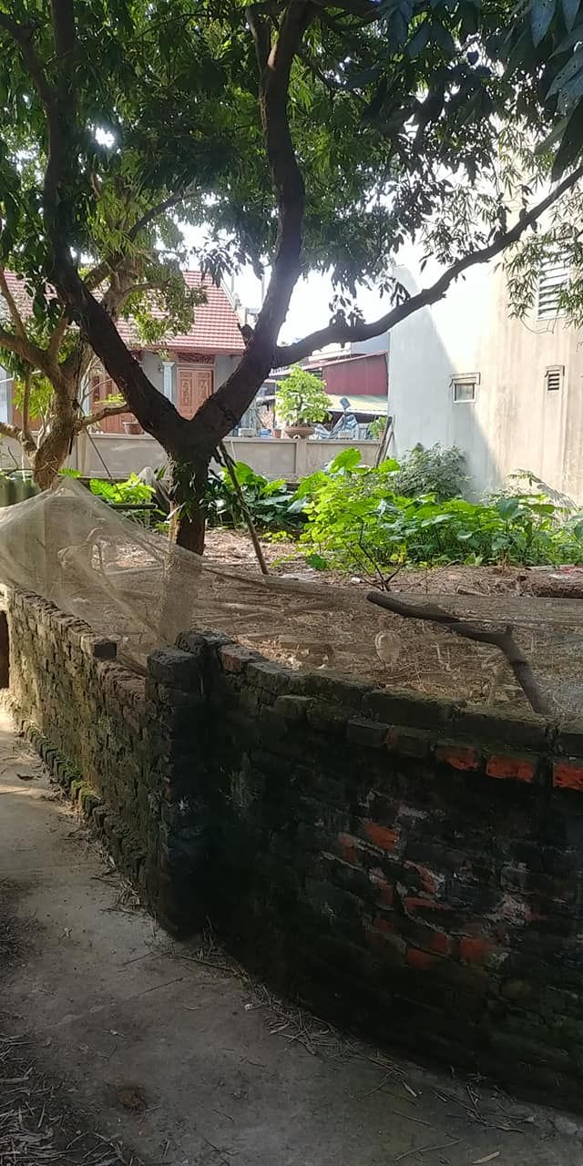 Cần bán nhanh 46,3 m2 đất thổ cư đẹp tại Yên Quán - Tân Phú Quốc Oai, Hà Nội.