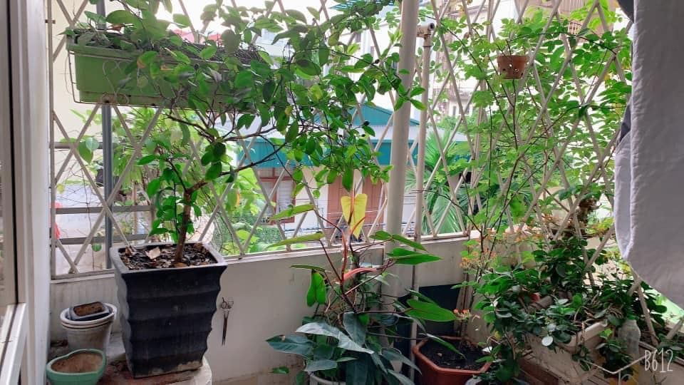 BÁN NHÀ TRUNG TÂM NHẤT QUẬN ĐỐNG ĐA Ô TÔ ĐỖ CỬA TẶNG TOÀN BỘ NỘI THẤT