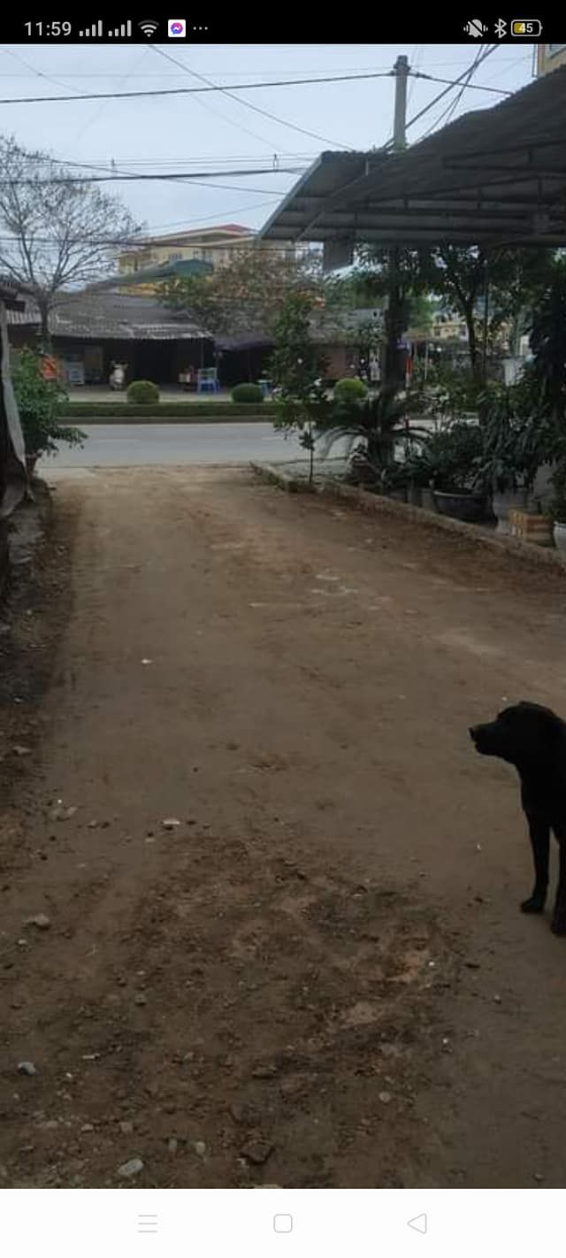 cần bán đất khu vực tổ 16 phường Minh Khai, gần đối diện Bộ CHQS tỉnh, qua cầu Phà 80m. DT 130m