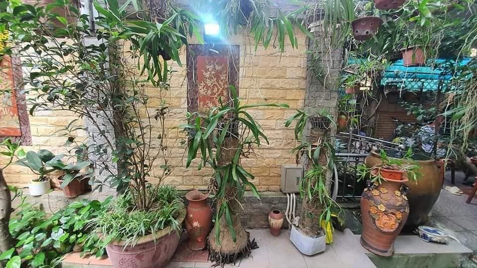 CHƯA ĐẾN 10 TỶ CÓ BIỆT THỰ ĐẲNG CẤP GẦN 200M2 SÂN VƯỜN PHỐ PHÚC LỢI LONG BIÊN