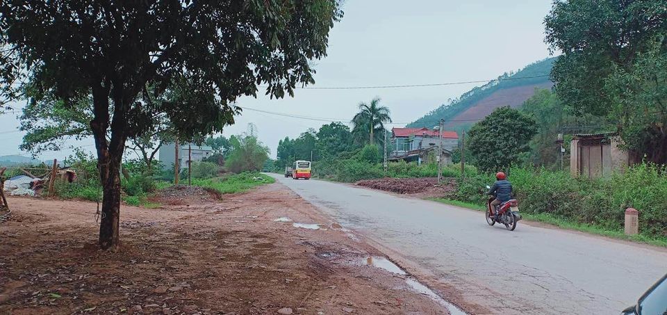 BÁN LÔ ĐẤT 10M MẶT TIỀN QL31 Đ/C THÔN ẢI , XÃ PHƯỢNG SƠN , LỤC NGẠN , BẮC GIANG