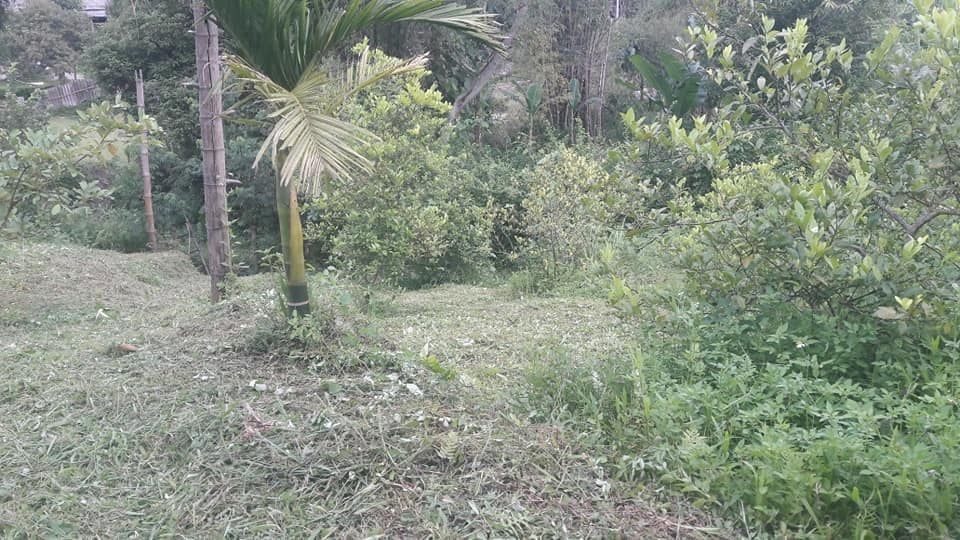 Bán đất vườn, đồi 1,8ha: Đất vườn 1.200m; đất đồi 16.800m đã trồng keo 1,5ha Có điện Tổ Khuổi Lặng
