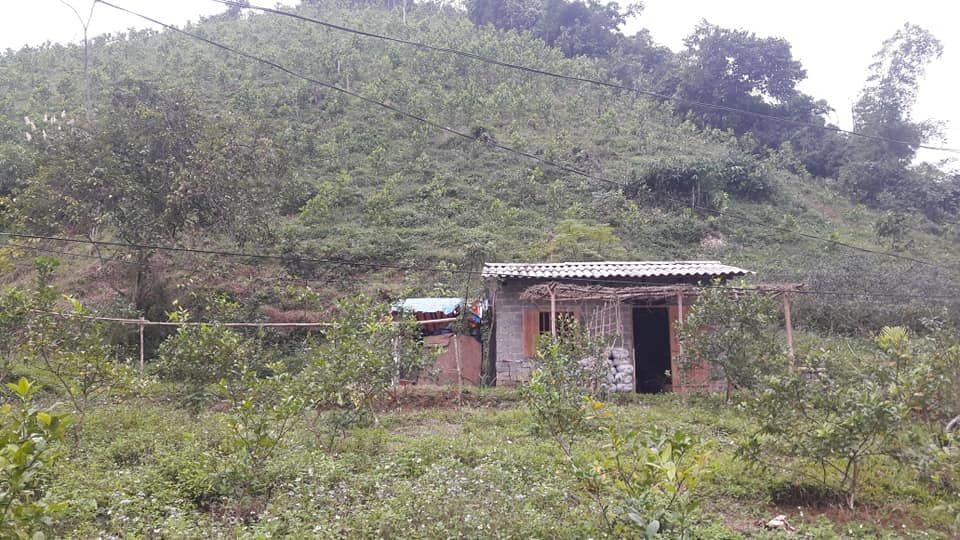 Bán đất vườn, đồi 1,8ha: Đất vườn 1.200m; đất đồi 16.800m đã trồng keo 1,5ha Có điện Tổ Khuổi Lặng