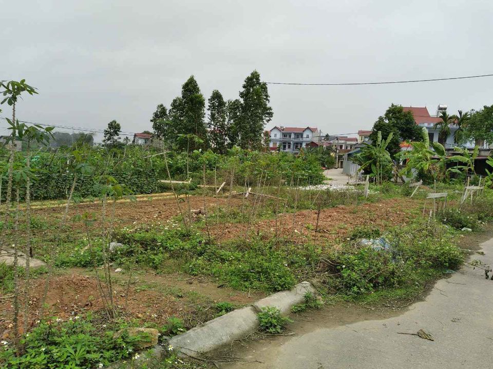Cần bán lô Đất Đẹp ( Lô Góc) khu giãn Dân đấu giá, tại Thôn Kép, Xã Hương Gián, Yên Dũng, Bắc Giang