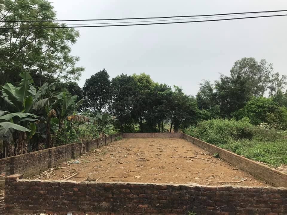 Bán lô đất Diện tích 187.5m2 Full thổ cư Hàng can Sen Trì Bình Yên chính chủ đang giảm giá sâu