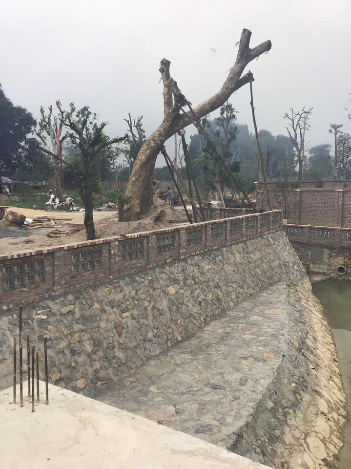 chính chủ do cần tiền làm ăn cần bán miếng đất diện tích 5129 m2 Tân hoà Hoà sơn Lương Sơn