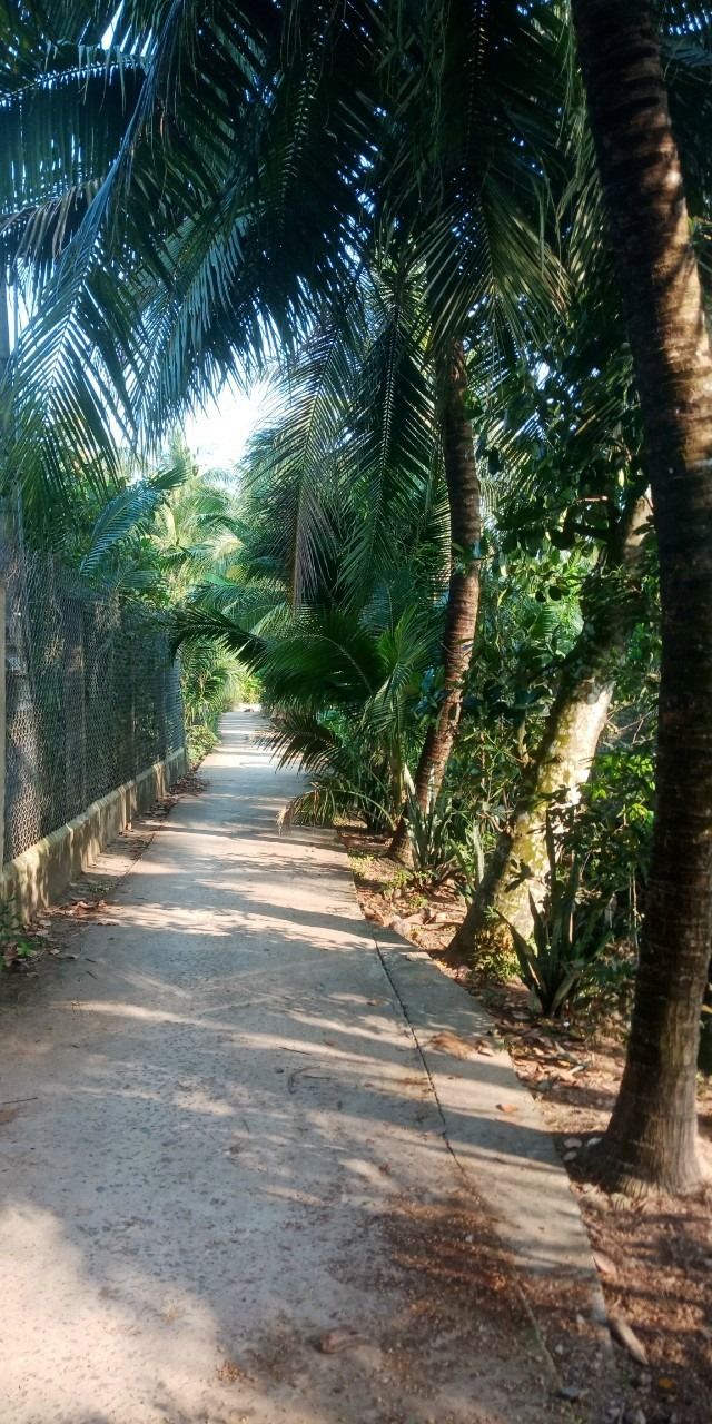 Bán 1000m2 Đất vườn bưởi chính chủ, cách cầu Rạch Miễu 1km hướng về bến phà cũ Call 0978797575