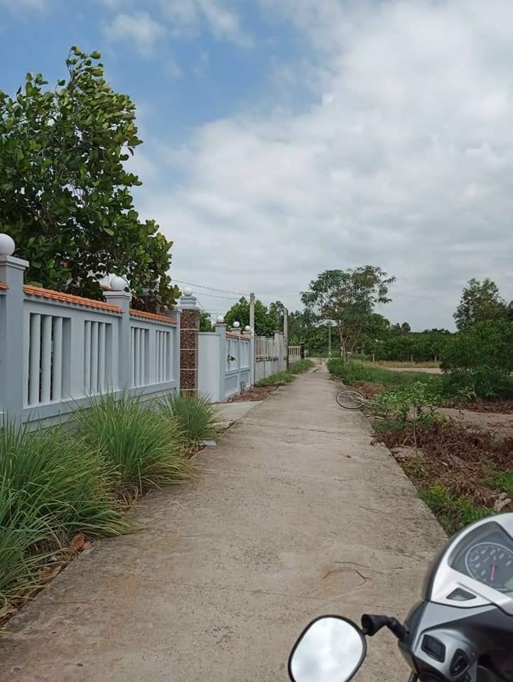 Anh mình cần ra đất lúa Dt khoảng 6024m2 (2 sổ) Đất thuộc Ấp chợ, long hựu đông, cần đước, Long An