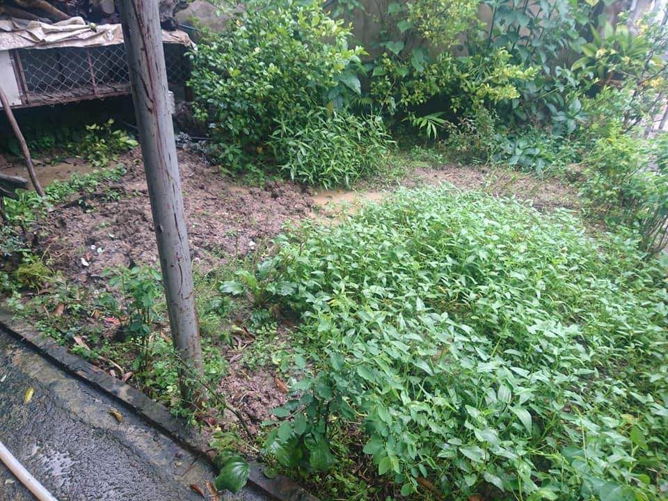 Cho thuê nhà cấp bốn từ tháng 6/2021 số nhà 5, ngõ 57, tổ 24 tân thanh gần cổng sau truờng sư phạm