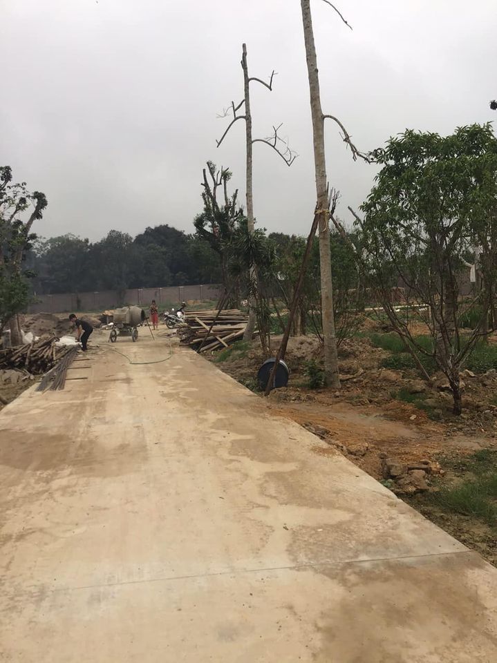 chính chủ do cần tiền làm ăn cần bán miếng đất diện tích 5129 m2 Tân hoà Hoà sơn Lương Sơn