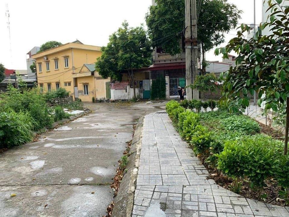 Chính chủ cần ̉bán mảnh đất mặt phố Vũ Như Tô phường Hải Tân tp hải dương
