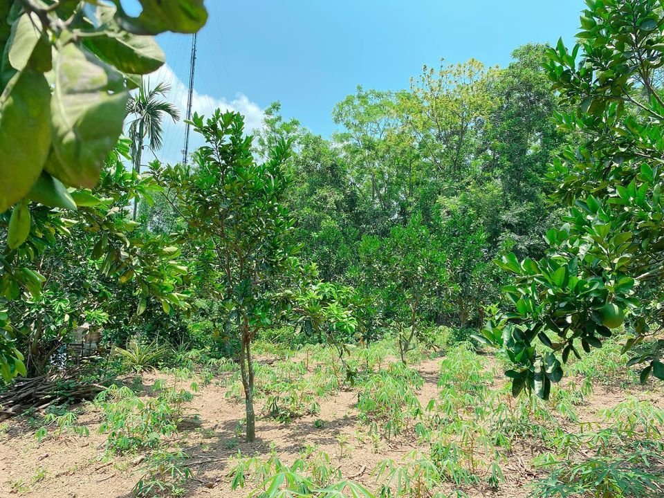 Đất thủ đô Hà Nội mà lại rẻ hơn đất Hoà Bình, 1607m2, 1500m thổ cư, An Phú Mỹ Đức Hà Nội