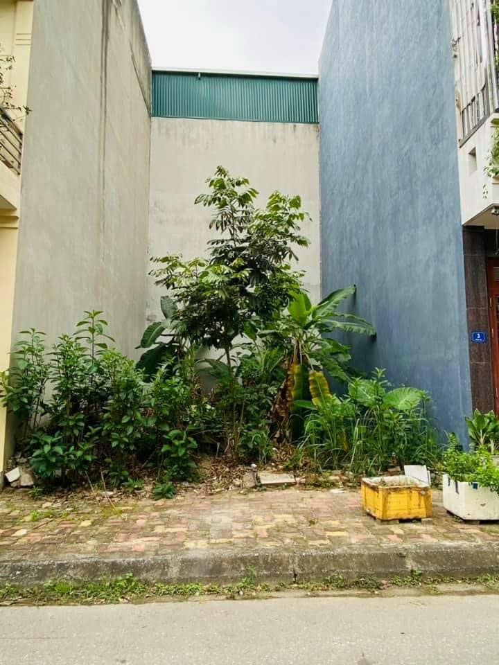 Cần bán đât LK hướng Tây tứ trạch mặt đường đô thị rộng 10.50m gần ngã tư Thanh Bình Trần văn Giáp