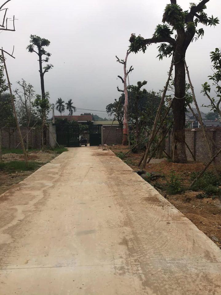 chính chủ do cần tiền làm ăn cần bán miếng đất diện tích 5129 m2 Tân hoà Hoà sơn Lương Sơn