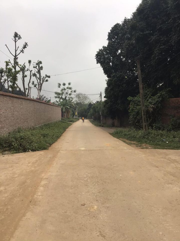 chính chủ do cần tiền làm ăn cần bán miếng đất diện tích 5129 m2 Tân hoà Hoà sơn Lương Sơn