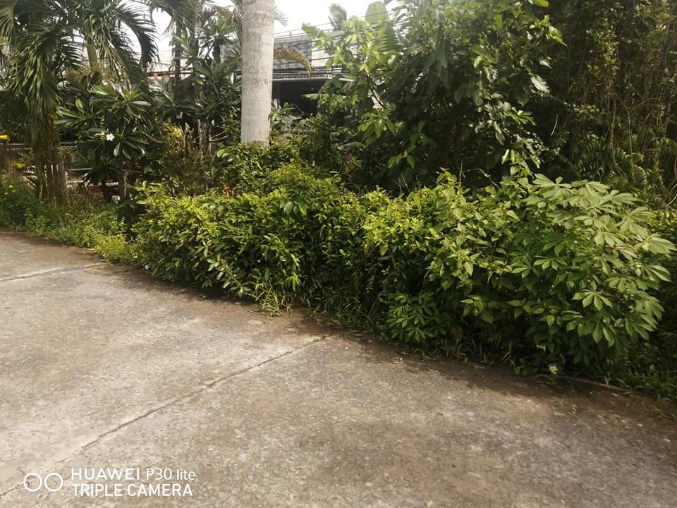 Bán đất đường kênh tắc, ấp 5 xã Vị TÂN TP VỊ THANH HẬU GIANG Diện tích 10x57m có 300m thổ cư