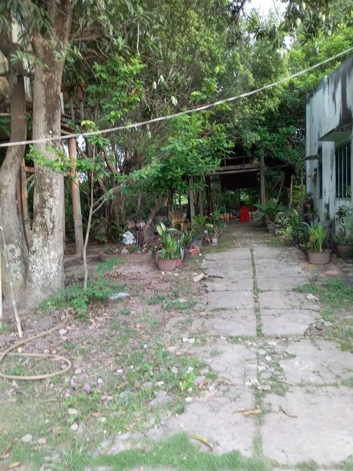 Bán Đất Tặng Nhà Đất và nhà đang cho thu nhập trên đất có nhà cấp 4 Đức Hòa & Đức Huệ Long An