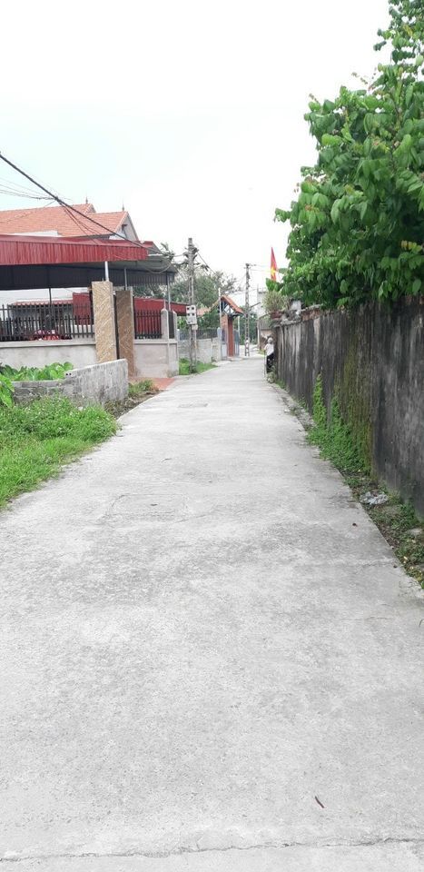 Cc bán thửa thổ cư Lô góc mặt đường. DT 311,2m2. Lô góc 2 MT 18,83m x 16,65m. Trường Thịnh Ứng Hòa