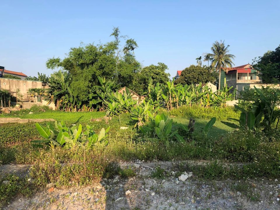 Bán Đất đấu giá Hoằng Thanh sáng 24/5/2021 Cũng 8,9tr/m2 mà đất của em cách biển 500m lại rẻ hơn