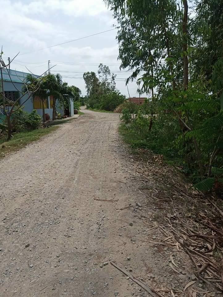 Anh mình cần ra đất lúa Dt khoảng 6024m2 (2 sổ) Đất thuộc Ấp chợ, long hựu đông, cần đước, Long An