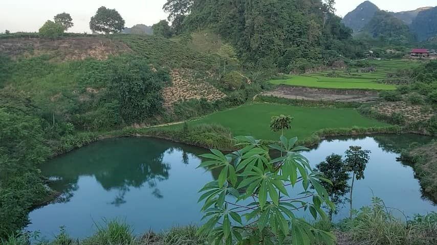 lô đất rộng 3 ha, xung quanh là ao hồ, trên là núi rừng già, có nước quanh năm,Tân Lập Mộc Châu