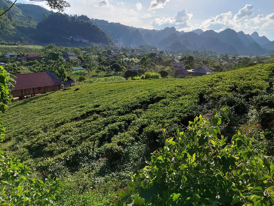 lô đất rộng 3 ha, xung quanh là ao hồ, trên là núi rừng già, có nước quanh năm,Tân Lập Mộc Châu