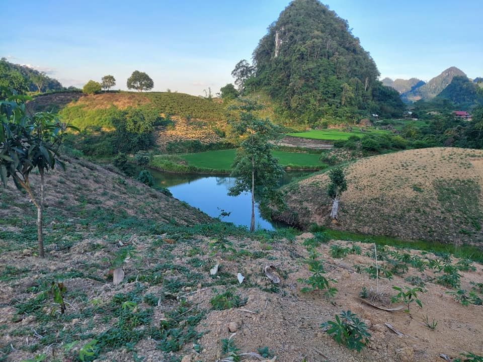 lô đất rộng 3 ha, xung quanh là ao hồ, trên là núi rừng già, có nước quanh năm,Tân Lập Mộc Châu