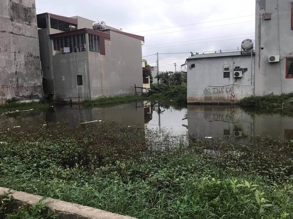 Bán Đất nhà vườn Phường Phúc Thành 183 nam thành cạnh nhà hàng Mai Trang 2 DT 204m2 + 12m mặt