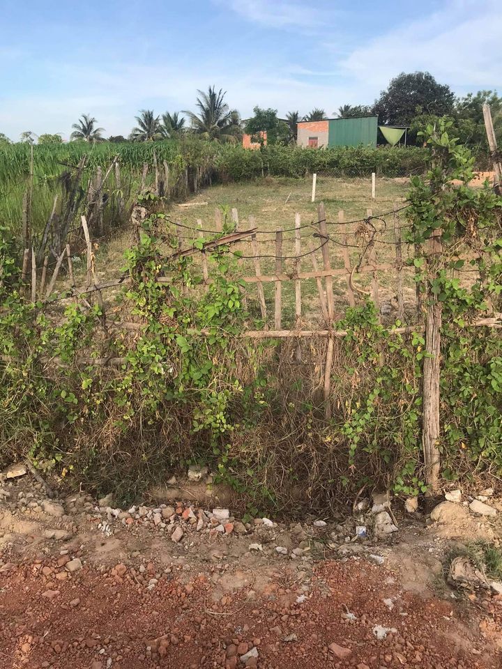 Cần ra đi lô đất thôn long bình 2 , xã an hải , huyện Ninh phước, từ nam miền trung chạy vào 300m