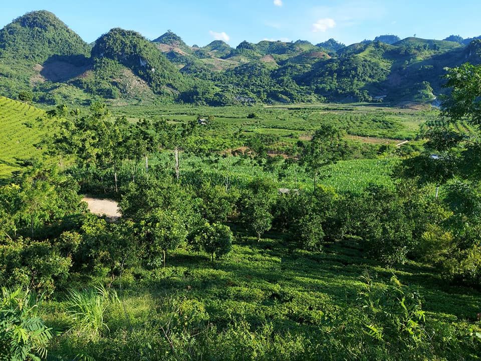 lô đất rộng 3 ha, xung quanh là ao hồ, trên là núi rừng già, có nước quanh năm,Tân Lập Mộc Châu