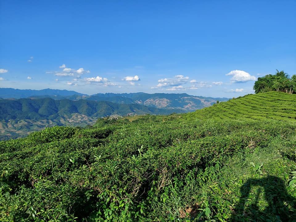 lô đất rộng 3 ha, xung quanh là ao hồ, trên là núi rừng già, có nước quanh năm,Tân Lập Mộc Châu