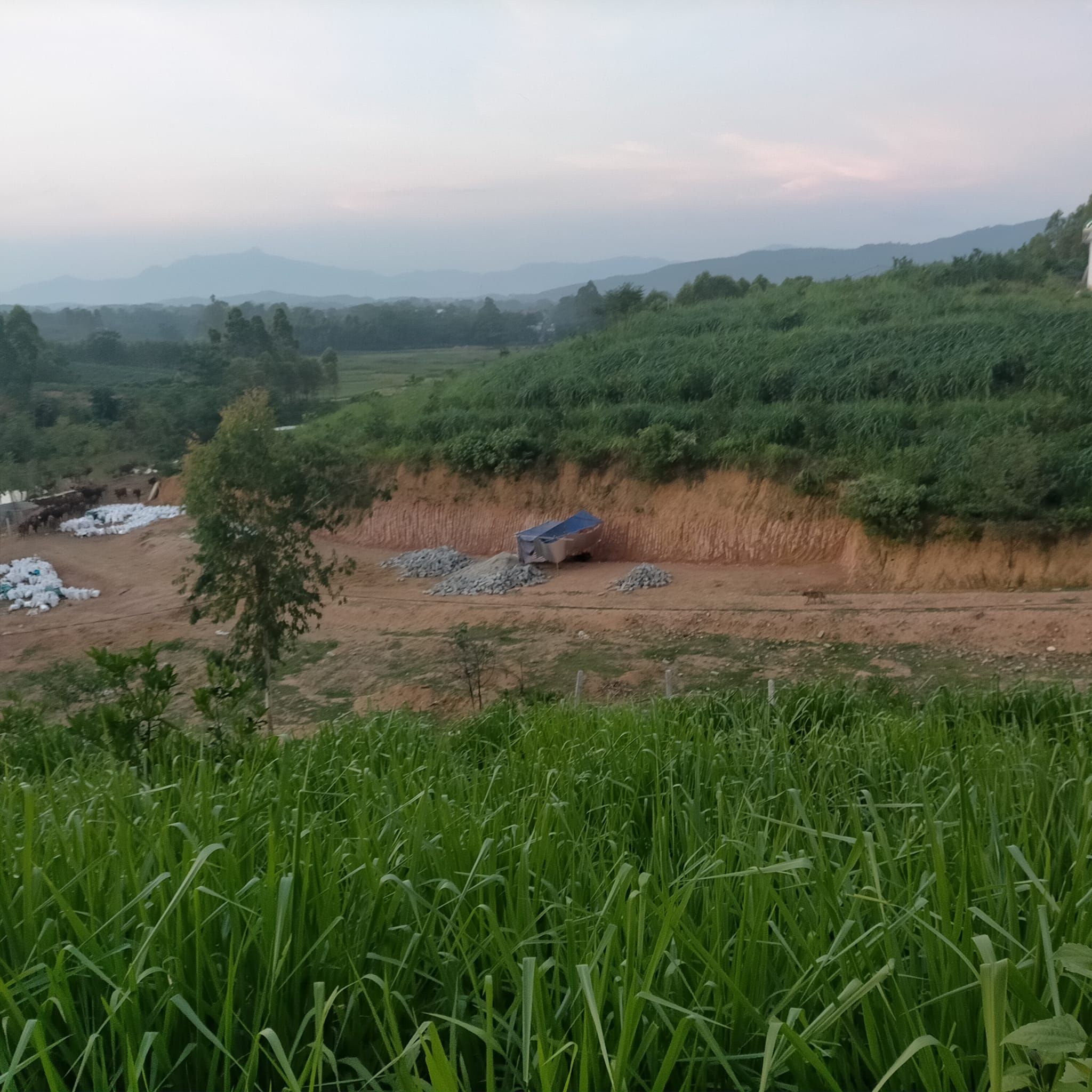 Bán trang trại rộng 4ha trong đó có 4000m2 áo tại xã hạ giáp phù Ninh phú thọ
