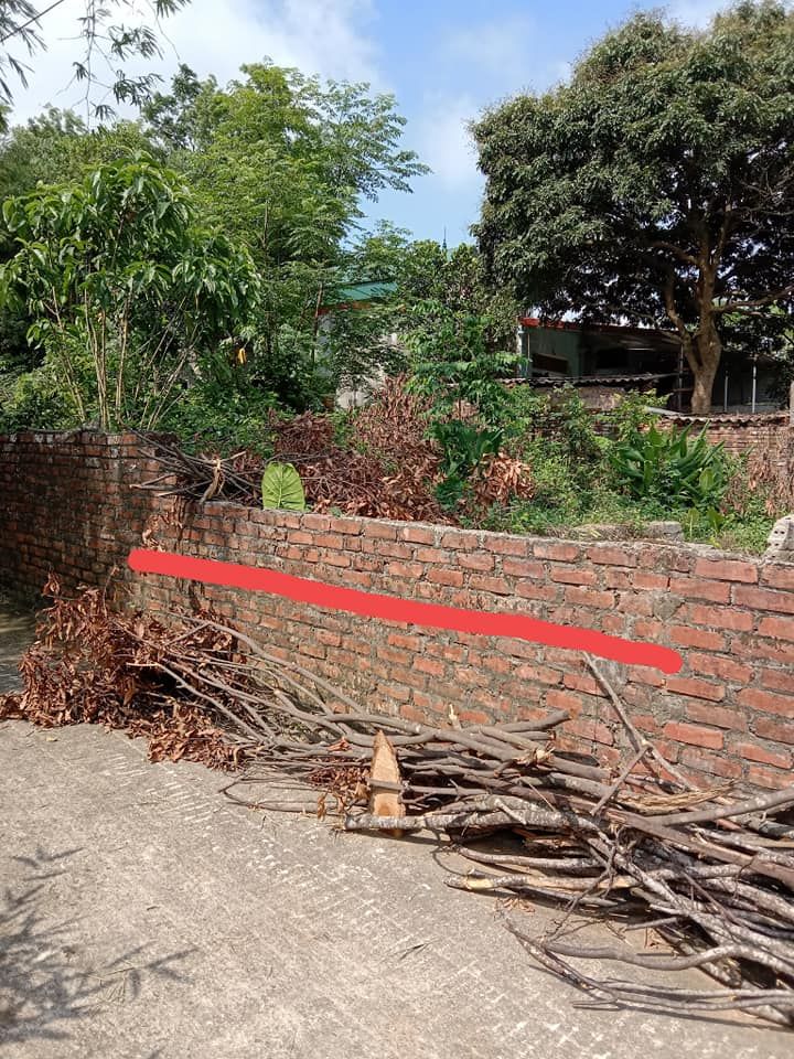 Giá đình cần tiền bán lô đất ở phường Trung Hưng, thị xã Sơn Tây, Hà Nội đường ô tô vào tận nhà
