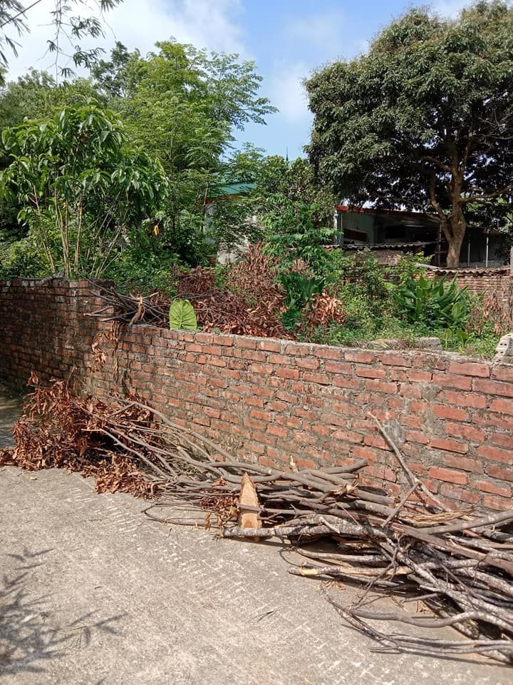 Giá đình cần tiền bán lô đất ở phường Trung Hưng, thị xã Sơn Tây, Hà Nội đường ô tô vào tận nhà