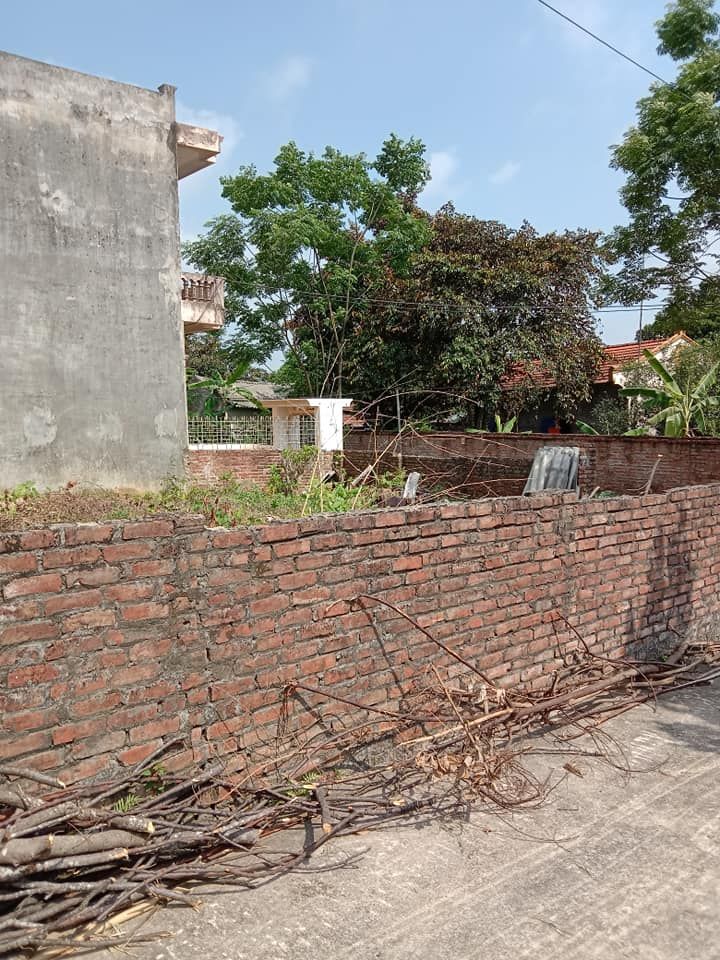 Giá đình cần tiền bán lô đất ở phường Trung Hưng, thị xã Sơn Tây, Hà Nội đường ô tô vào tận nhà